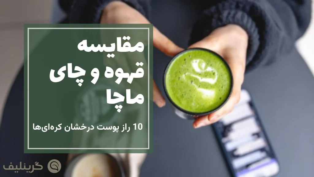 قهوه و ماچا